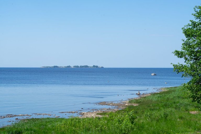DSC05606.jpg