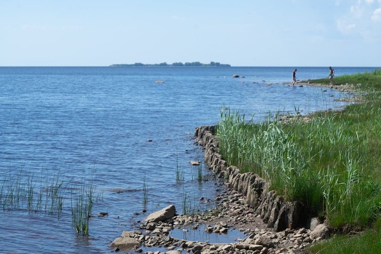 DSC05634.jpg