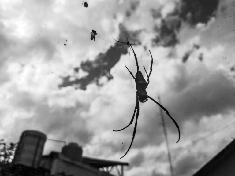20230512_151512 (2).jpg