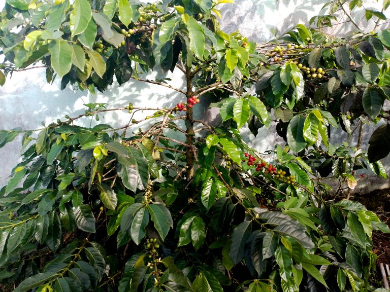 20230427_080004.jpg