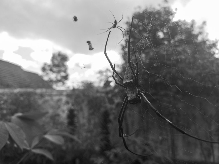 20230512_151534 (1).jpg