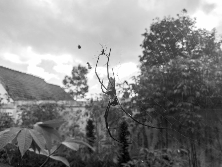 20230512_151540 (1).jpg
