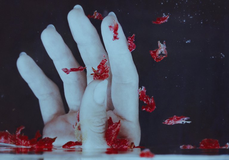Underwater Hand With Red Petals.jpg