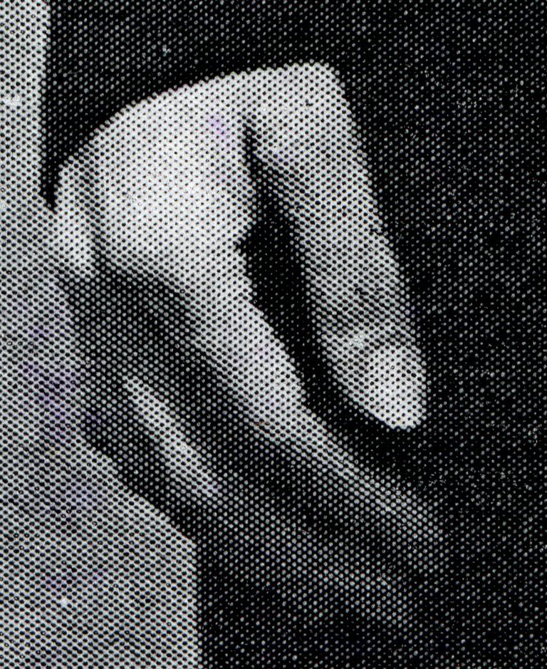 img79.jpg