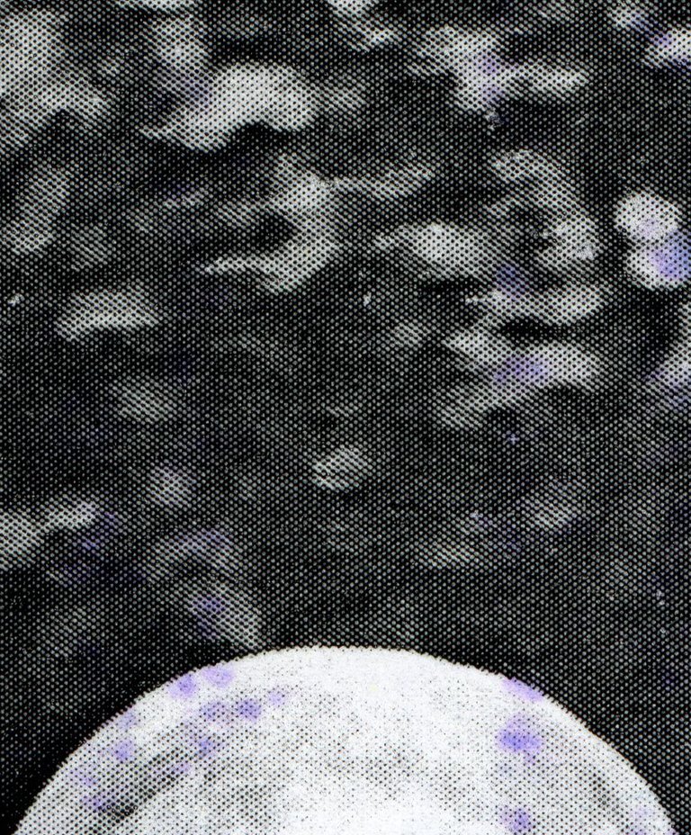 d8888.jpg