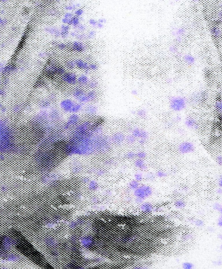 d444.jpg