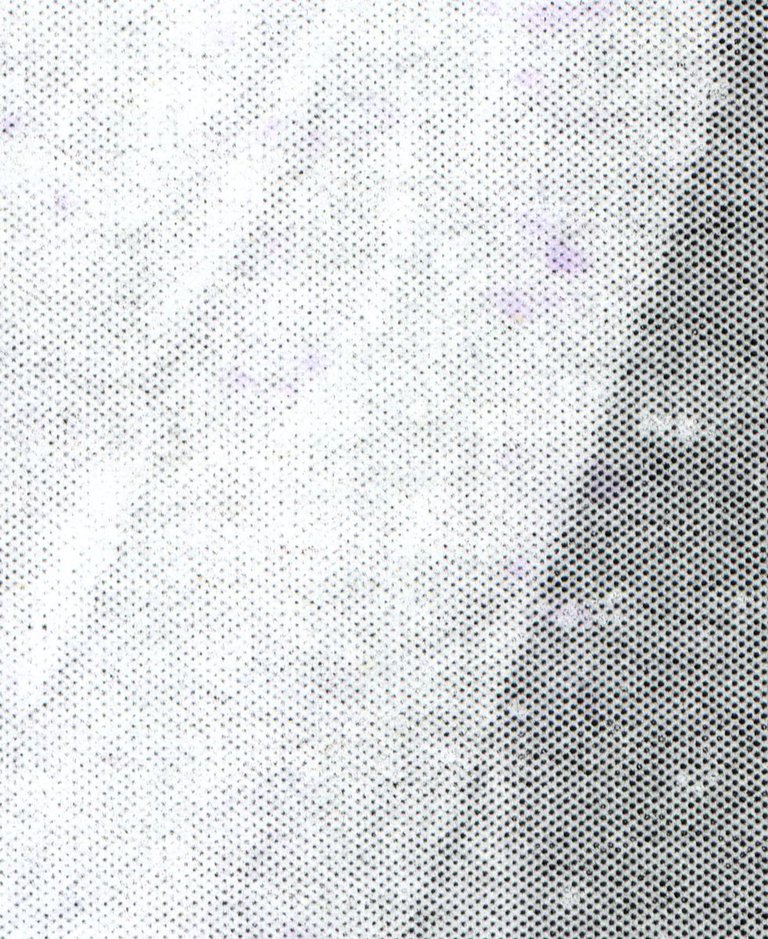 img7.jpg