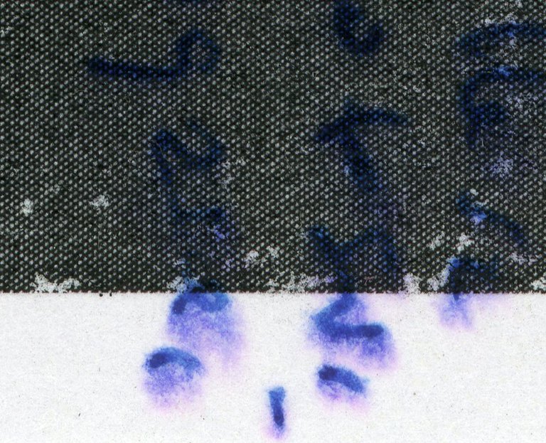 p000.jpg