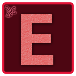 E(250X250).png