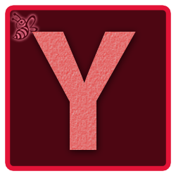 Y(250X250).png