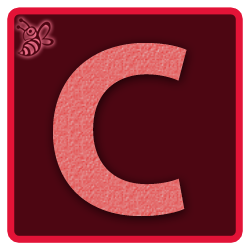 C(250X250).png