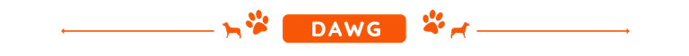 page divider (DAWG).png