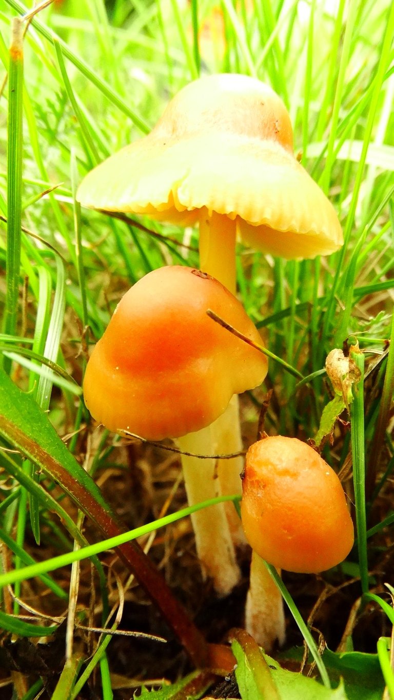 DSC04232.JPG