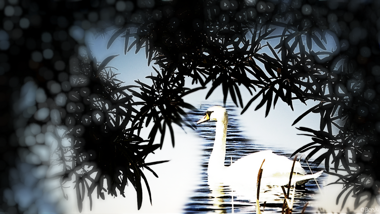 2artIMG_20230528_203126_934.png