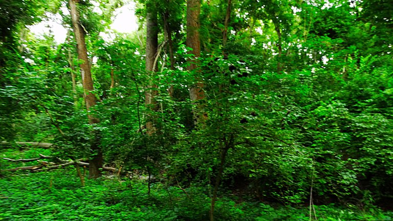 DSC07747.JPG