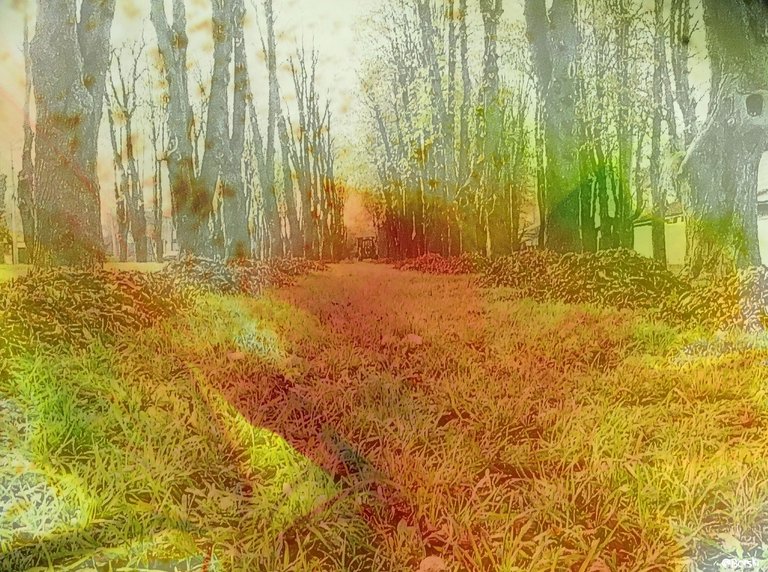 88artstor1DSC00458.png