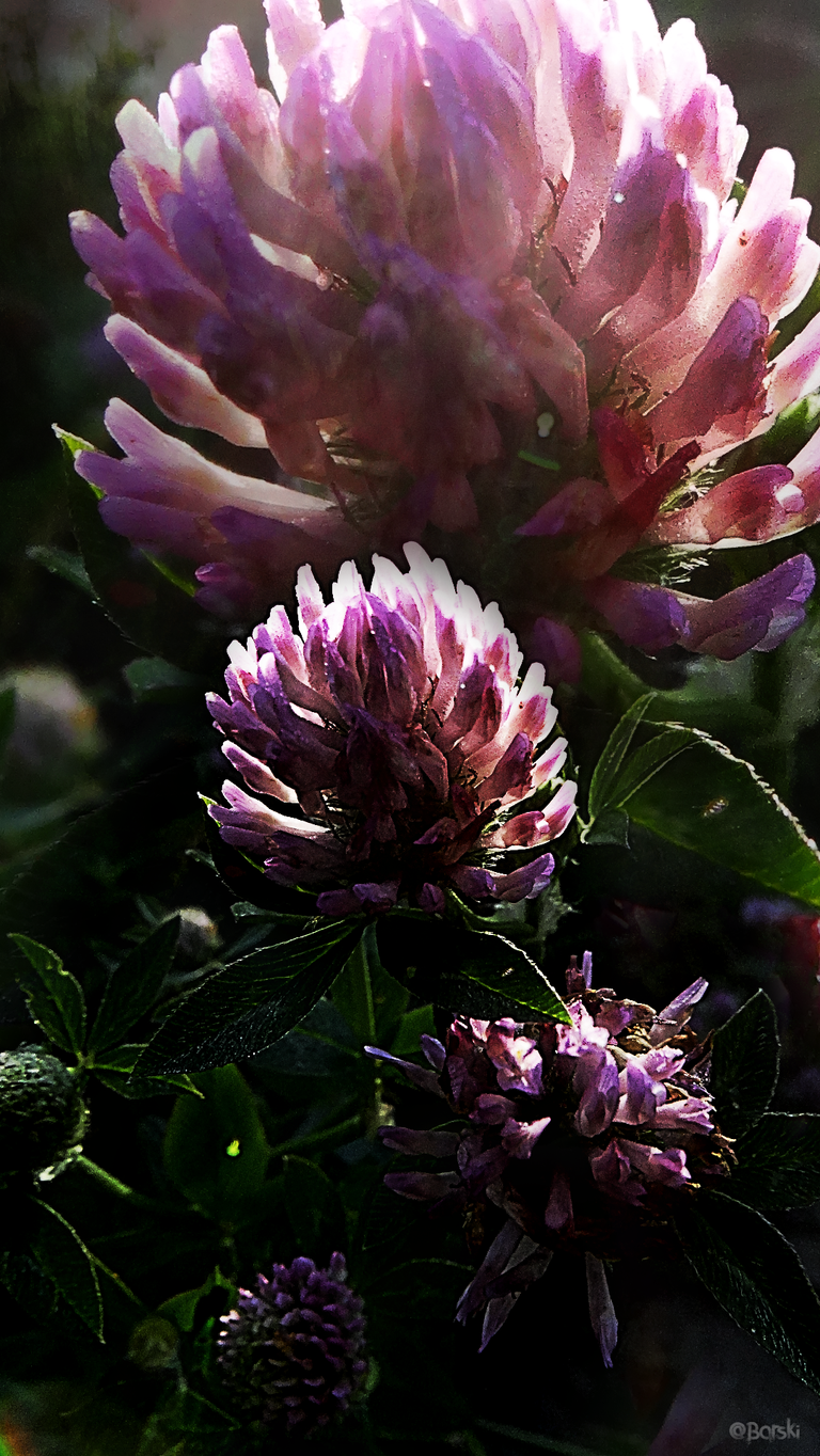 84artstorDSC05880.png