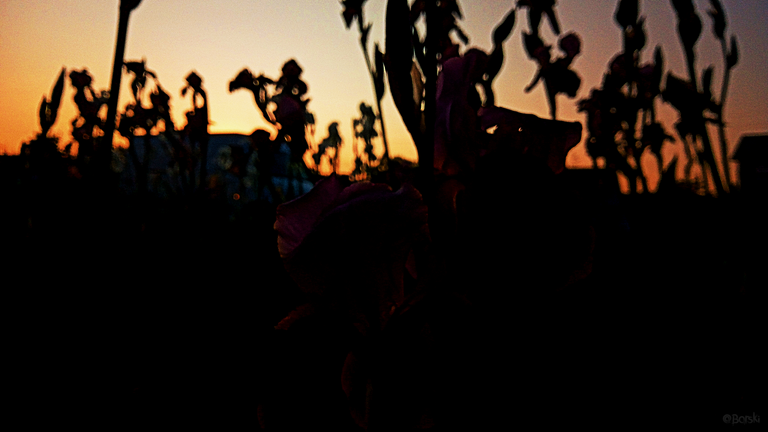 1artIMG_20230528_203034_119.png