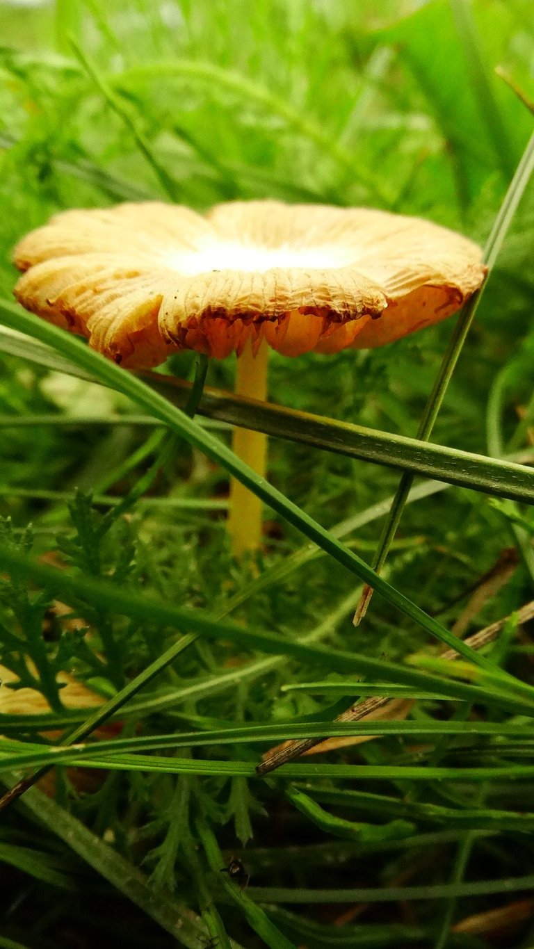 DSC04121.JPG