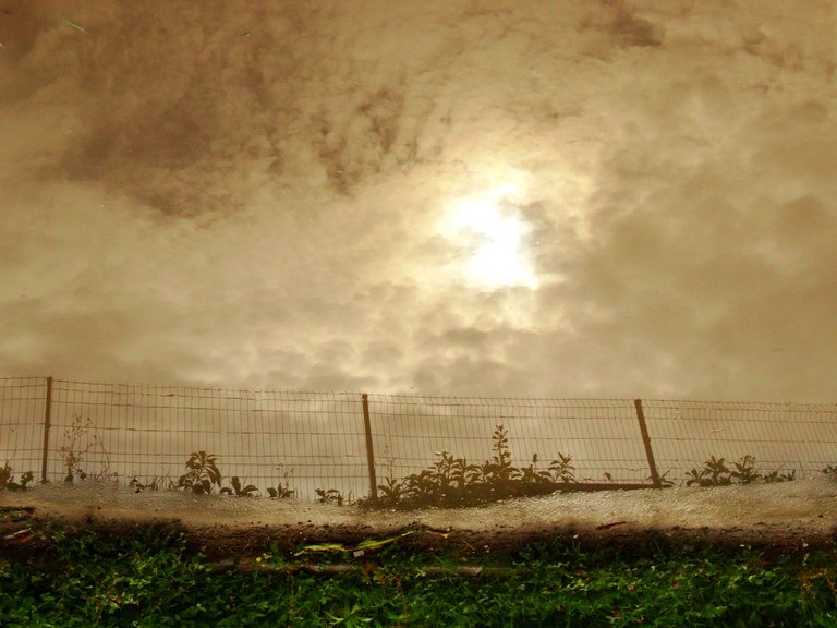 DSC00042.JPG