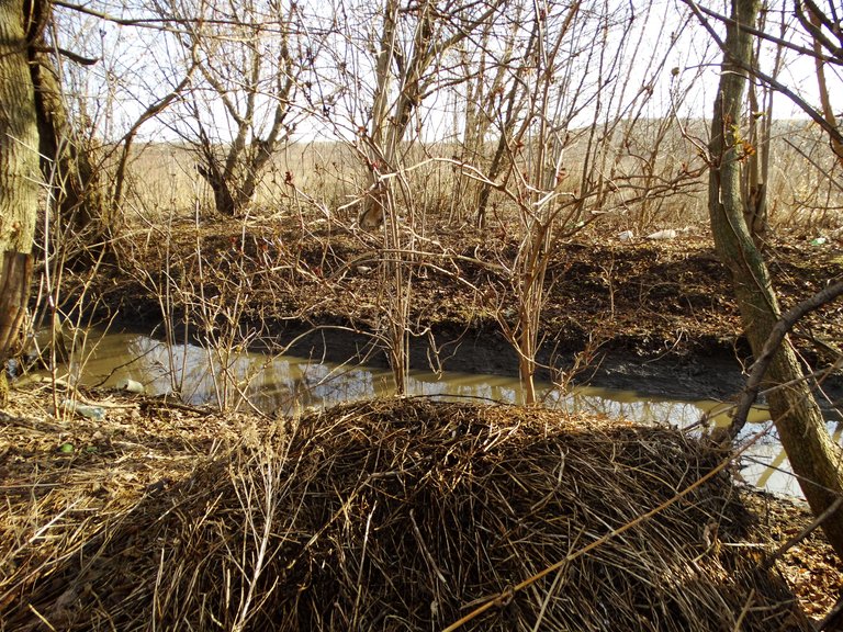 DSC00088.JPG