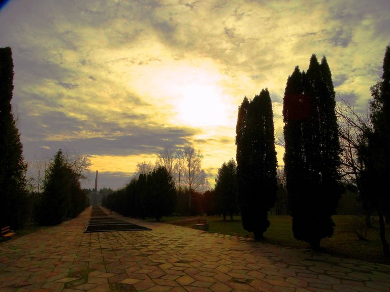 DSC00412.JPG