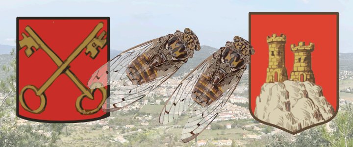 De Leidse Sleutels - Deux Cigales - en het oude "armorial" (wapen) van St. Hippo