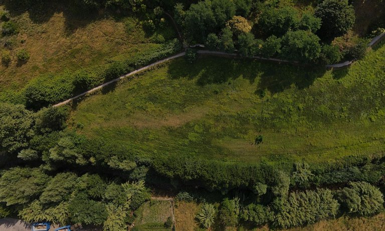 View to the ground, showing the meadow next to the river "Vidourle".