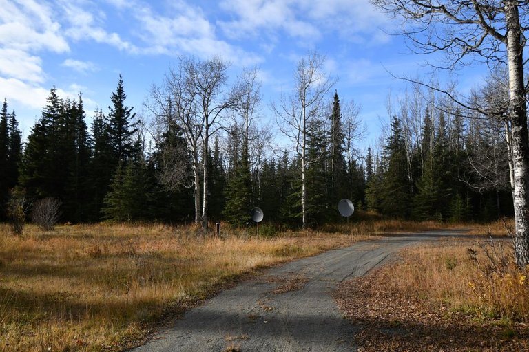 Parking spot rear view