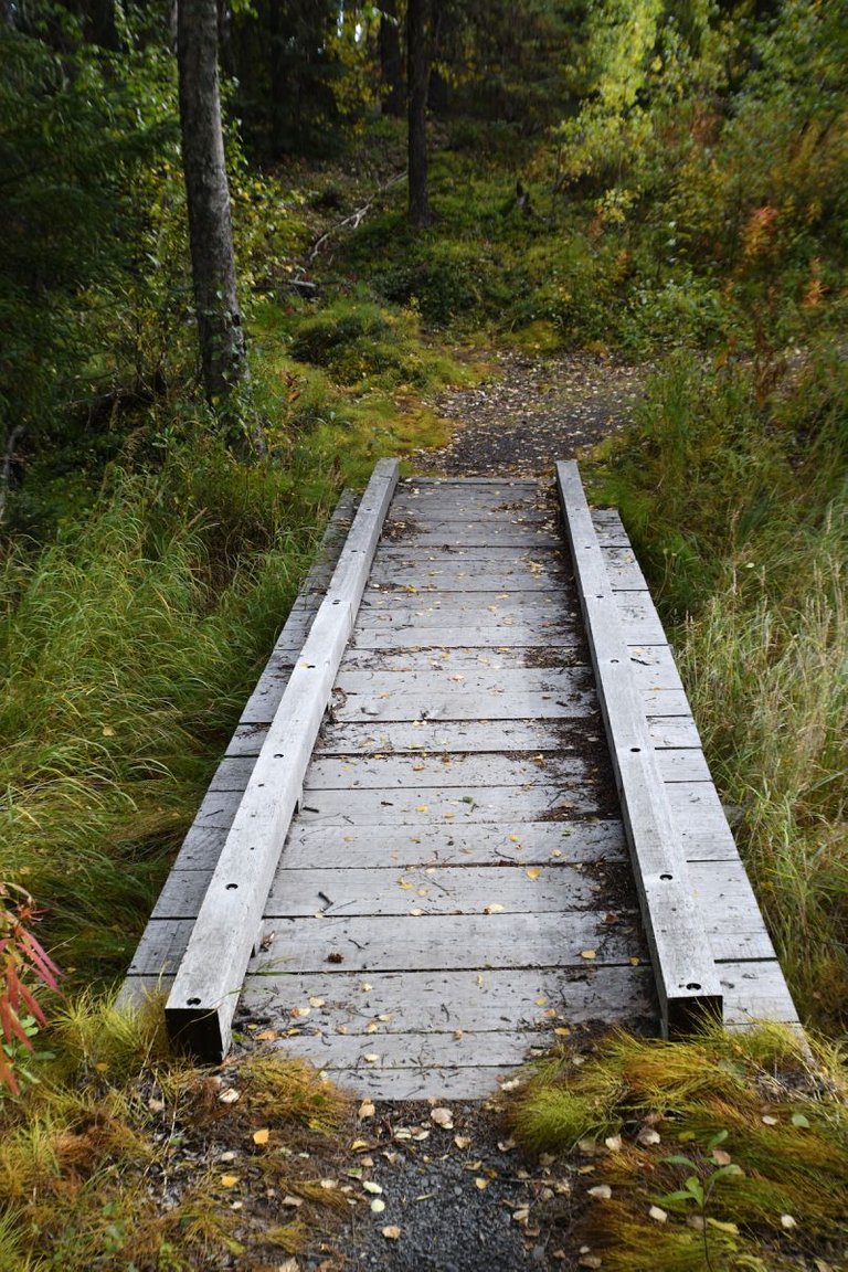 Small foot bridge to a scenic view point