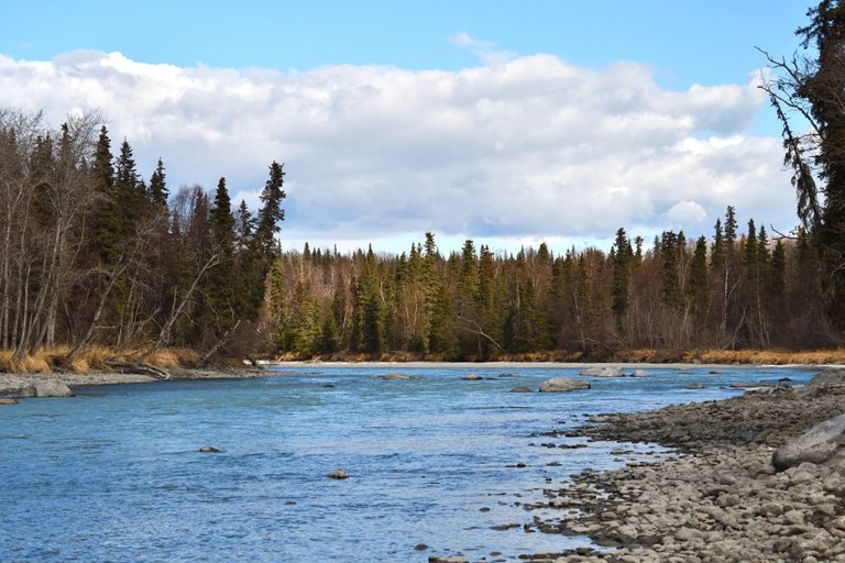 Kasilof River 5-7