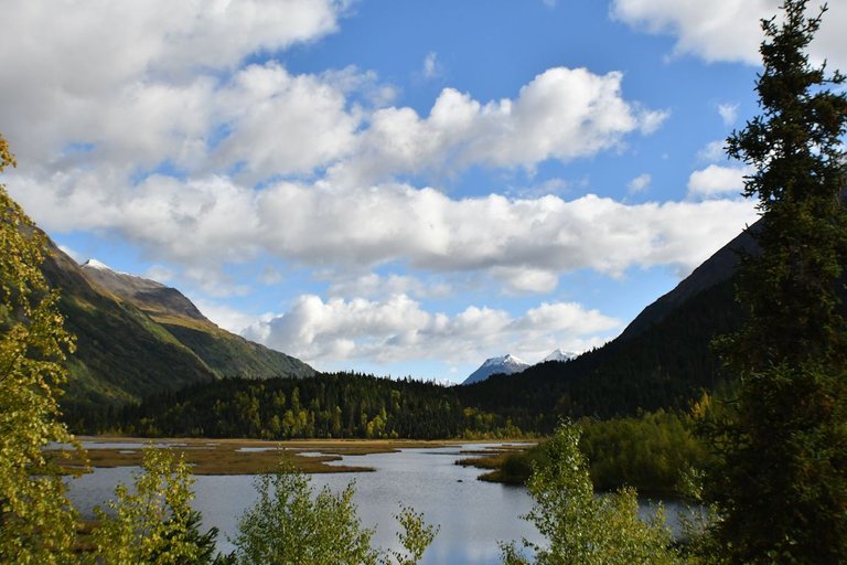 Foot Bridge Scenic View Point