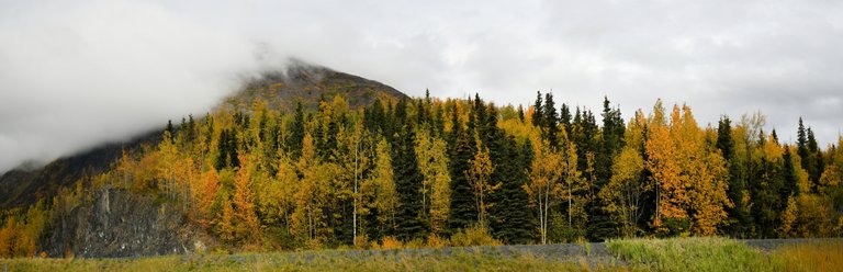 Cooper Landing area