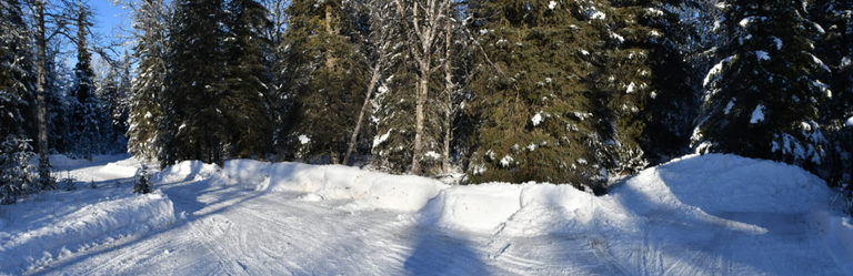 Secondary Parking and Heading Out View