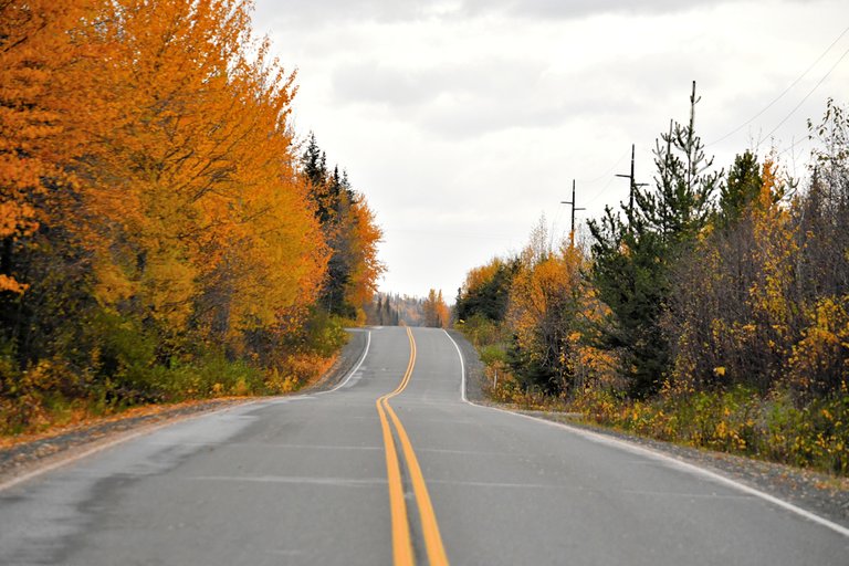 fall-road