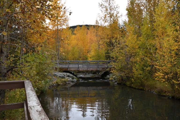 Tern Lake campground bridge