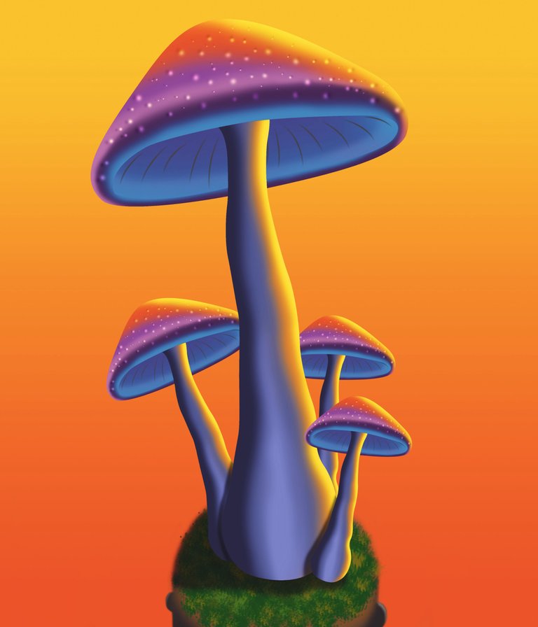 Fungi four.jpg