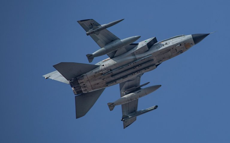 cobra-133.jpg