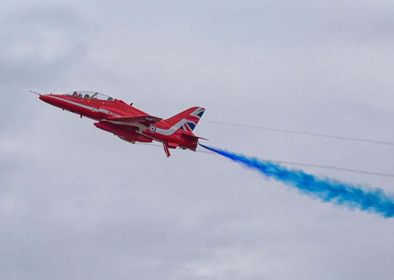 wfd-678.jpg