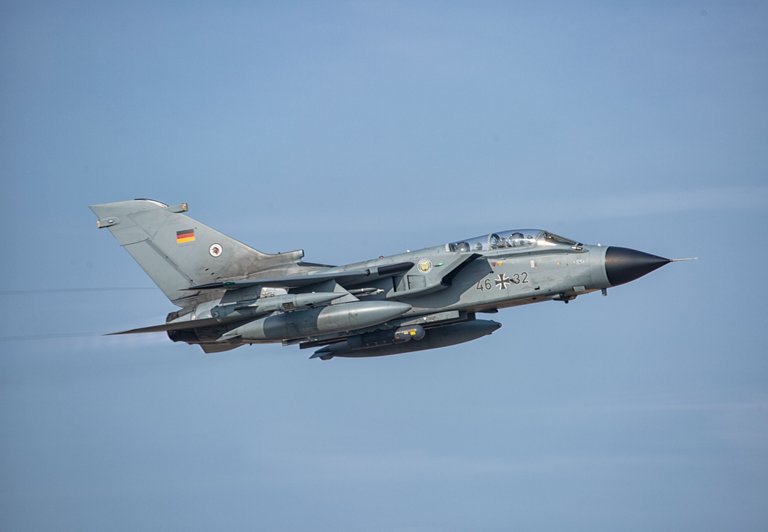 cobra-33.jpg