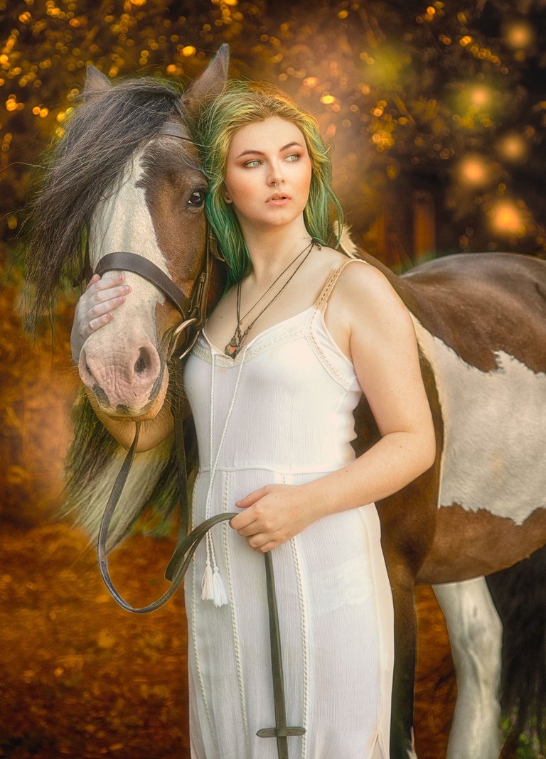 horse-161-edit.jpg