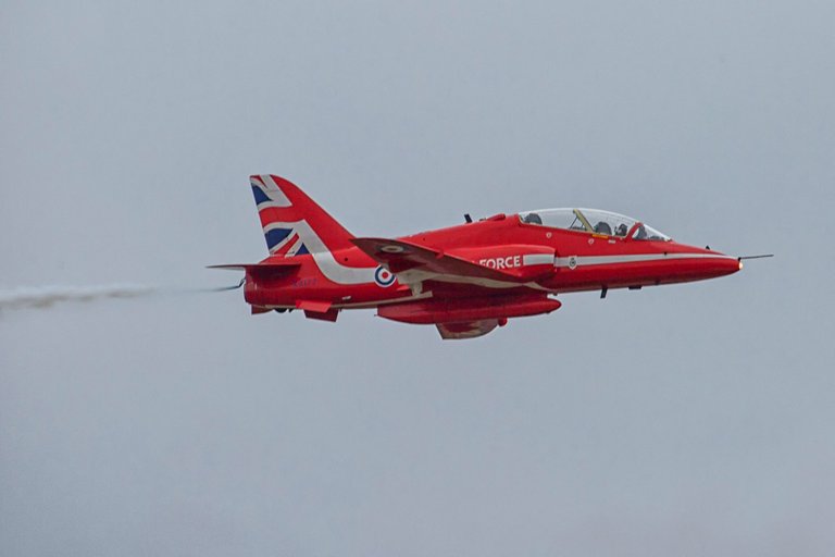 wfd-731.jpg