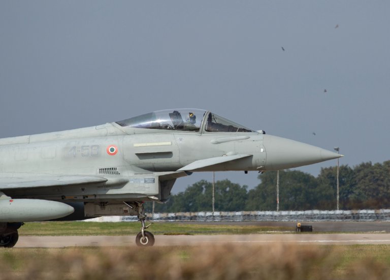 cobra-215.jpg