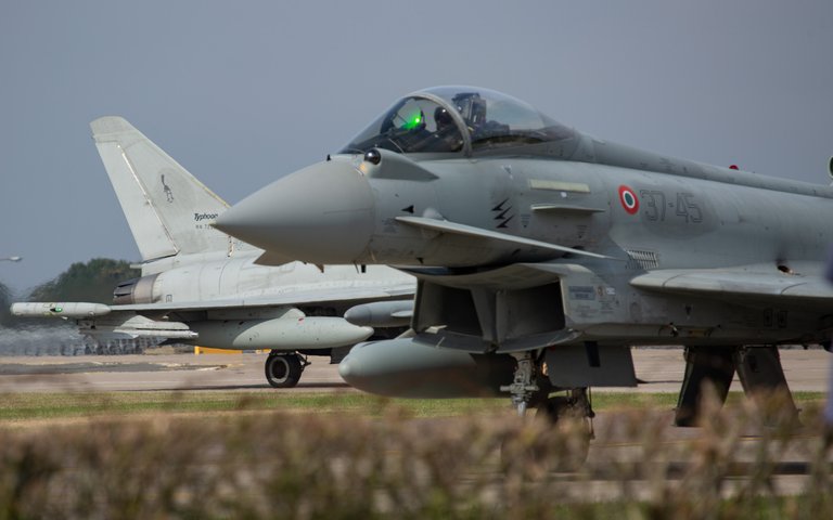 cobra-183.jpg