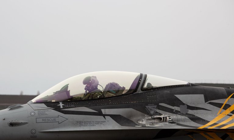 cobra-395.jpg