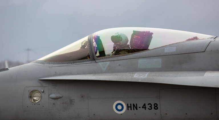 cobra-259.jpg