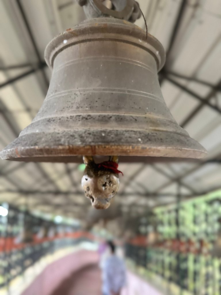 IMG_2938.jpeg