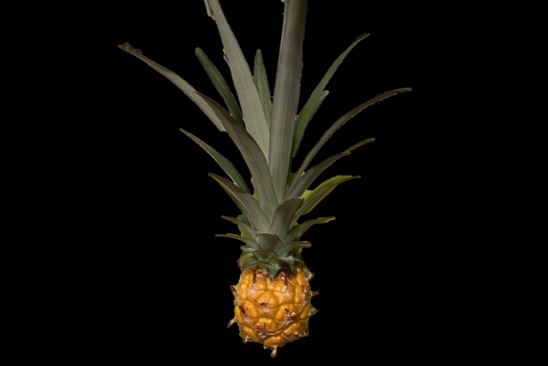 019398749874598743.png