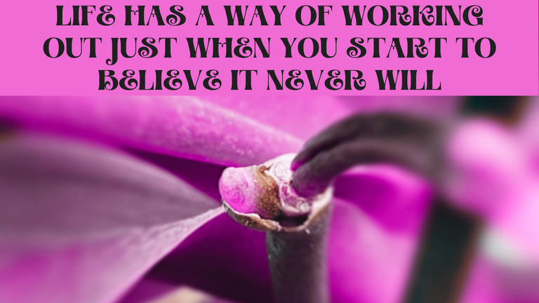Life Will Always Find A Way.png