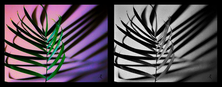 1673316304675.png